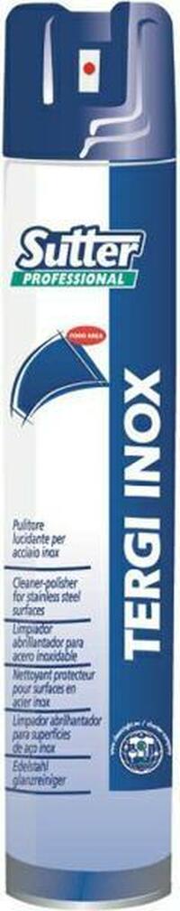 TERGINOX AREOSOL 12X500 ML