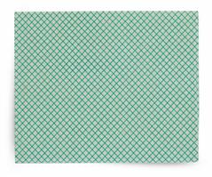 PANNO PAVIMENTO BASIC 40X50 10 PZ